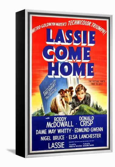 "Lassie Come Home" 1943, Directed by Fred Wilcox-null-Framed Premier Image Canvas