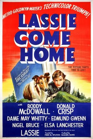 Lassie Come Home. 1943. Directed by Fred M. Wilcox