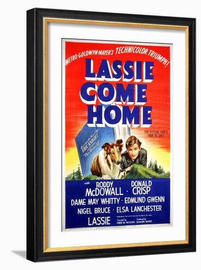 "Lassie Come Home" 1943, Directed by Fred Wilcox-null-Framed Giclee Print