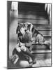 Lassie Come Home, Roddy Mcdowall, 1943-null-Mounted Photo