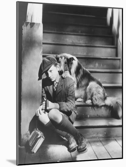 Lassie Come Home, Roddy Mcdowall, 1943-null-Mounted Photo