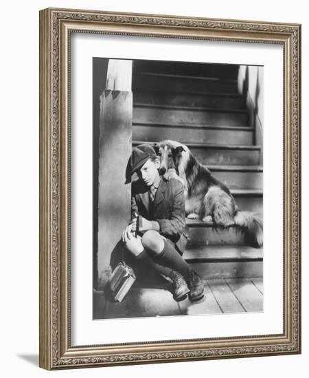 Lassie Come Home, Roddy Mcdowall, 1943-null-Framed Premium Photographic Print