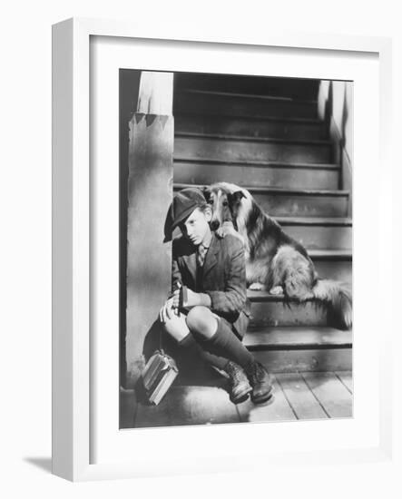 Lassie Come Home, Roddy Mcdowall, 1943-null-Framed Premium Photographic Print