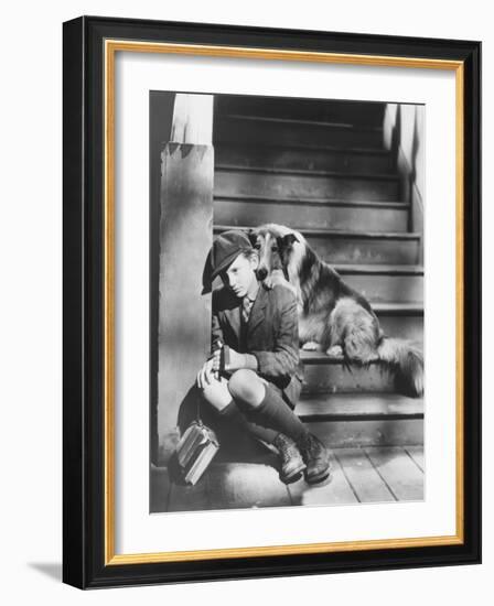 Lassie Come Home, Roddy Mcdowall, 1943-null-Framed Premium Photographic Print