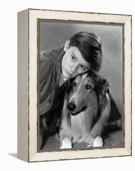 Lassie Come Home, Roddy McDowall, Lassie, 1943-null-Framed Stretched Canvas