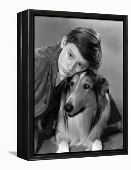 Lassie Come Home, Roddy McDowall, Lassie, 1943-null-Framed Stretched Canvas