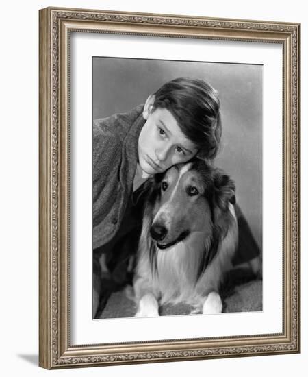 Lassie Come Home, Roddy McDowall, Lassie, 1943-null-Framed Photo