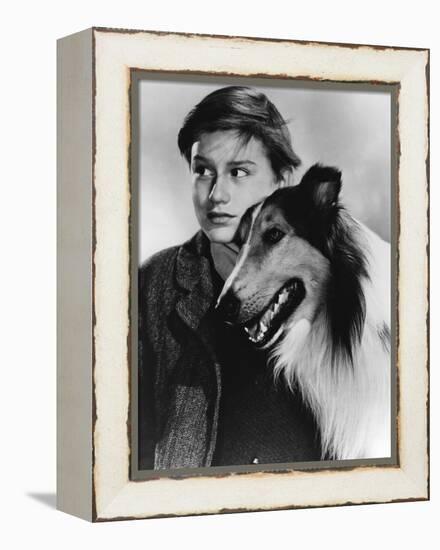 Lassie Come Home-null-Framed Stretched Canvas