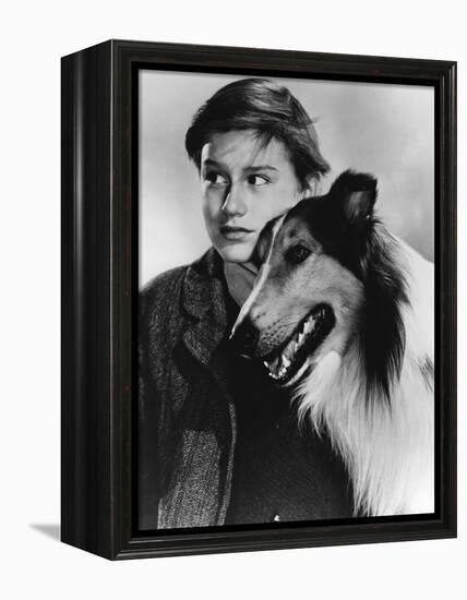 Lassie Come Home-null-Framed Stretched Canvas