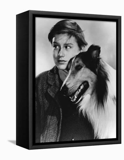 Lassie Come Home-null-Framed Stretched Canvas