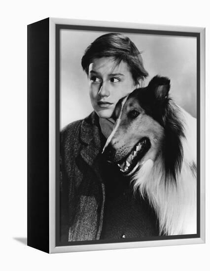 Lassie Come Home-null-Framed Stretched Canvas