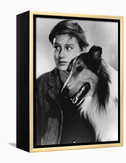 Lassie Come Home-null-Framed Stretched Canvas