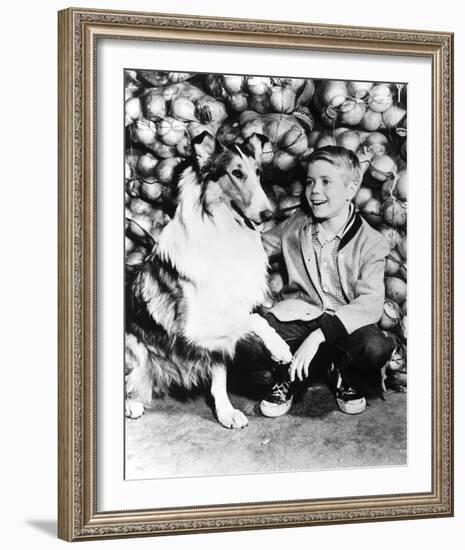 Lassie-null-Framed Photo