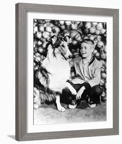 Lassie-null-Framed Photo