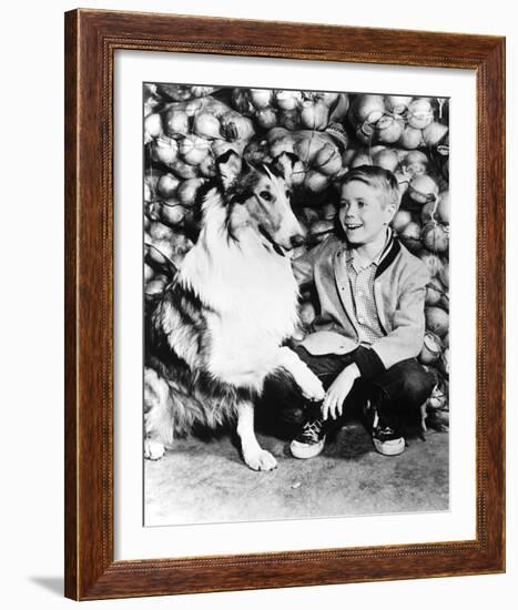 Lassie-null-Framed Photo