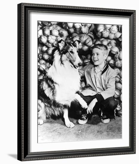 Lassie-null-Framed Photo