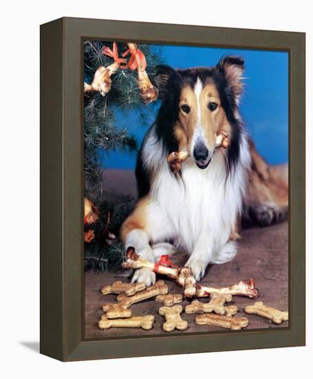 Lassie-null-Framed Stretched Canvas