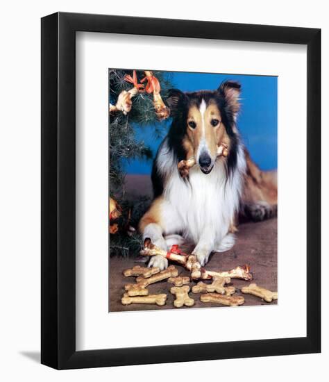 Lassie-null-Framed Photo