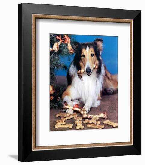 Lassie-null-Framed Photo