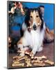 Lassie-null-Mounted Photo