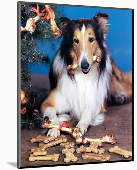 Lassie-null-Mounted Photo