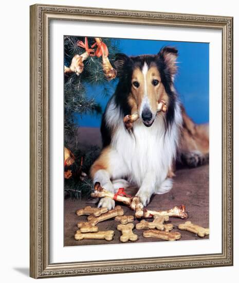 Lassie-null-Framed Photo