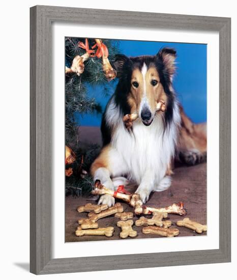 Lassie-null-Framed Photo