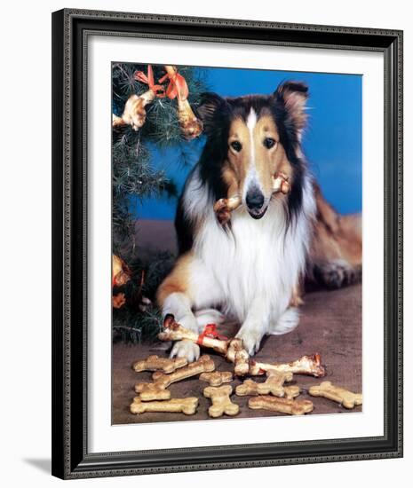 Lassie-null-Framed Photo