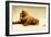 Last Call for the Beer Bear-Will Bullas-Framed Giclee Print