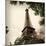 Last Day in Paris I-Emily Navas-Mounted Photographic Print