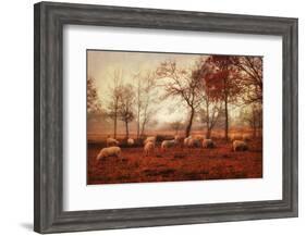 Last Days of Autumn-Ellen van Deelen-Framed Photographic Print