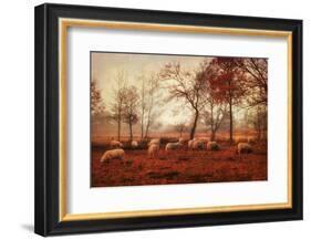 Last Days of Autumn-Ellen van Deelen-Framed Photographic Print