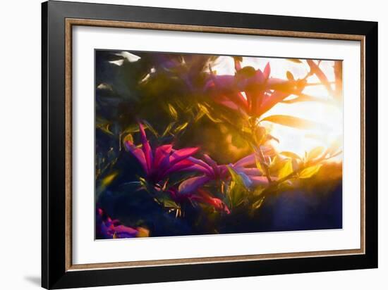 Last Golden Moment, 2018,-Helen White-Framed Giclee Print