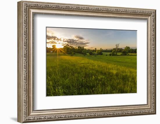 Last Light in a Hay Field in Epping, New Hampshire-Jerry and Marcy Monkman-Framed Photographic Print