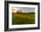 Last Light in a Hay Field in Epping, New Hampshire-Jerry and Marcy Monkman-Framed Photographic Print