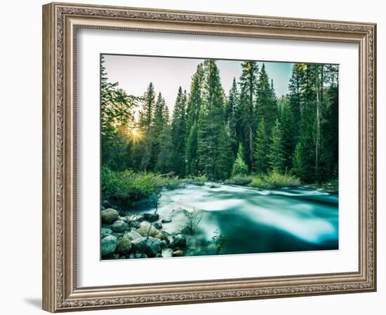 Last Light In Sequoia National Park-Daniel Kuras-Framed Photographic Print