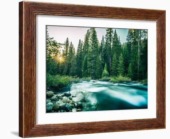 Last Light In Sequoia National Park-Daniel Kuras-Framed Photographic Print