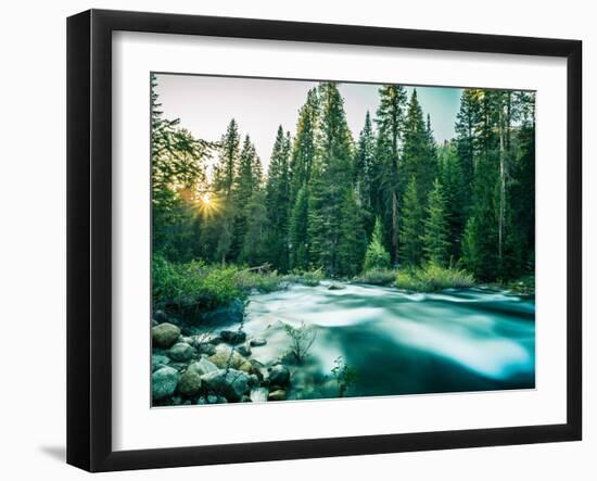 Last Light In Sequoia National Park-Daniel Kuras-Framed Photographic Print