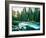 Last Light In Sequoia National Park-Daniel Kuras-Framed Photographic Print