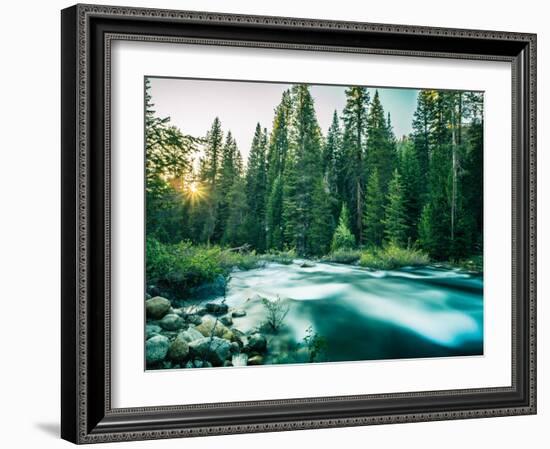 Last Light In Sequoia National Park-Daniel Kuras-Framed Photographic Print