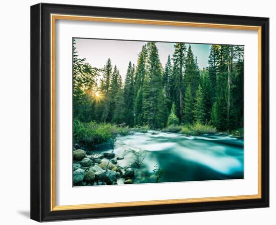 Last Light In Sequoia National Park-Daniel Kuras-Framed Photographic Print