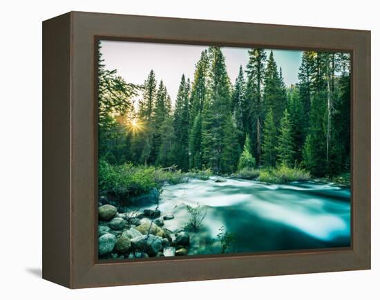 Last Light In Sequoia National Park-Daniel Kuras-Framed Premier Image Canvas