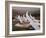 Last Light on Gliders at Fai World Sailplane Grand Prix, Vitacura Airfield, Santiago, Chile-David Wall-Framed Photographic Print