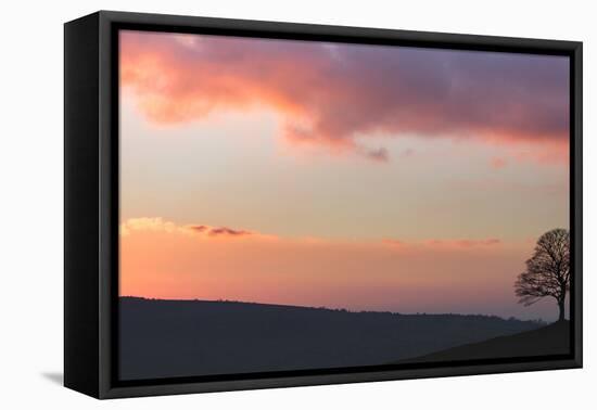 Last Light-Doug Chinnery-Framed Premier Image Canvas