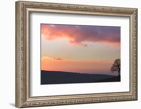 Last Light-Doug Chinnery-Framed Photographic Print