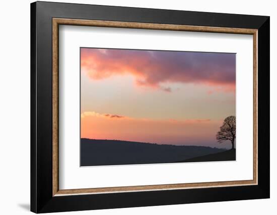 Last Light-Doug Chinnery-Framed Photographic Print