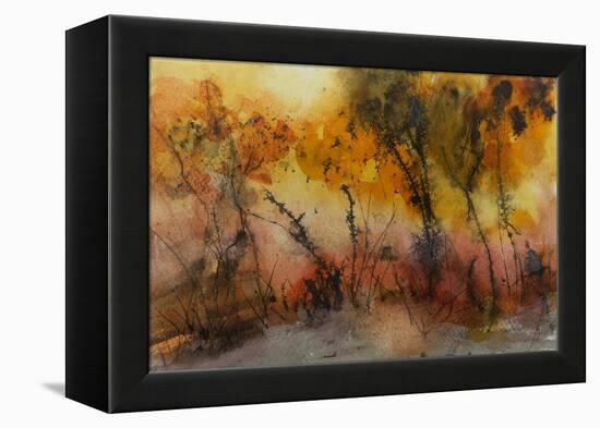 Last Light-Margaret Coxall-Framed Premier Image Canvas