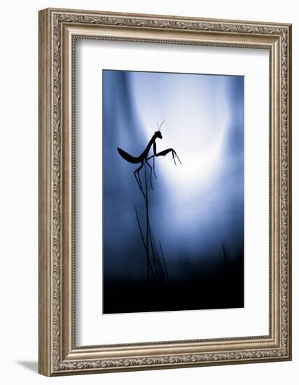 Last Night on Earth-Fabien Bravin-Framed Photographic Print