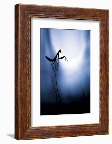 Last Night on Earth-Fabien Bravin-Framed Photographic Print