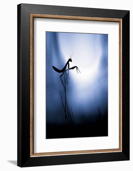 Last Night on Earth-Fabien Bravin-Framed Photographic Print